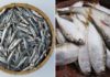 4 types of ocean fish: less fishy, meaty, rich in omega-3
