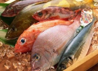 5 Types of Sea Fish You Should Buy at the Market – Delicious and Nutritious