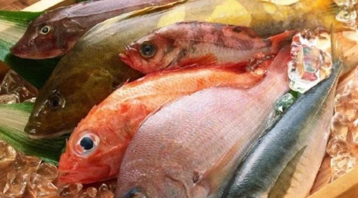 5 Types of Sea Fish You Should Buy at the Market – Delicious and Nutritious