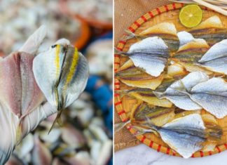 A Few Drops of Water on Dried Yellow Sole Fish, Grilled to Perfection
