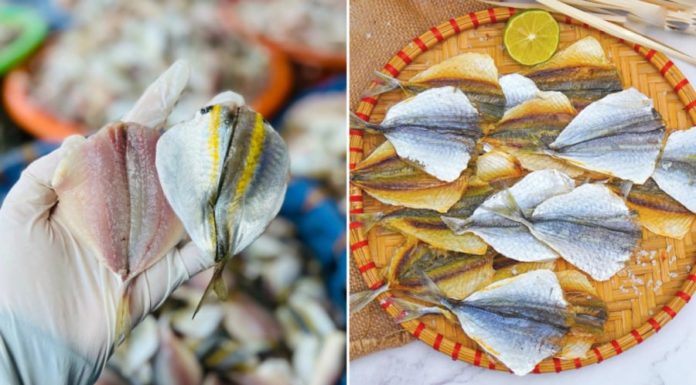 A Few Drops of Water on Dried Yellow Sole Fish, Grilled to Perfection