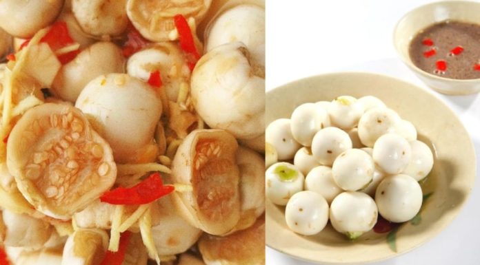 Most Vietnamese people are making a mistake of eating tomatoes which turns them into poisonous “eating 1 tomato costs 3 medicine”.