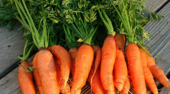 The Amazing Health Benefits of Carrots