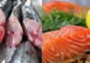 Nutritious Fish Varieties to Avoid During Pregnancy