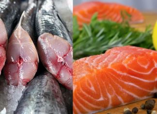 Nutritious Fish Varieties to Avoid During Pregnancy
