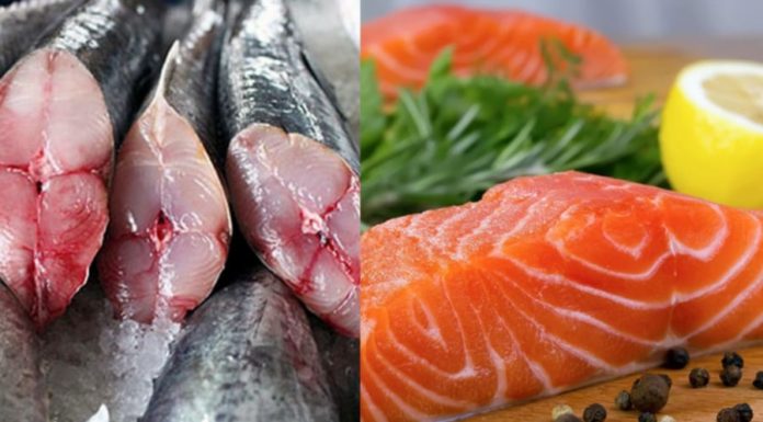 Nutritious Fish Varieties to Avoid During Pregnancy