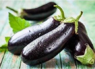 Don’t discard the eggplant stem, it has powerful uses when burnt.