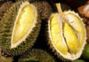 How to differentiate between Ri6 and Thai Durians – a must-know for Durian lovers
