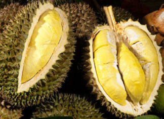 How to differentiate between Ri6 and Thai Durians – a must-know for Durian lovers