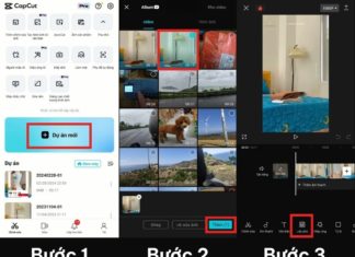 4 Ways to Integrate Stunning and Dynamic Images into Your Videos and Attract Millions of Views