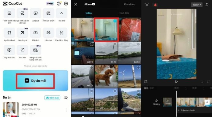 4 Ways to Integrate Stunning and Dynamic Images into Your Videos and Attract Millions of Views