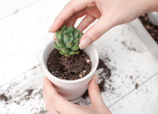 {“is_finished”:false,”event_type”:”stream-start”,”generation_id”:”8b79acde-961b-49b1-8b47-0caba290e4bd”}