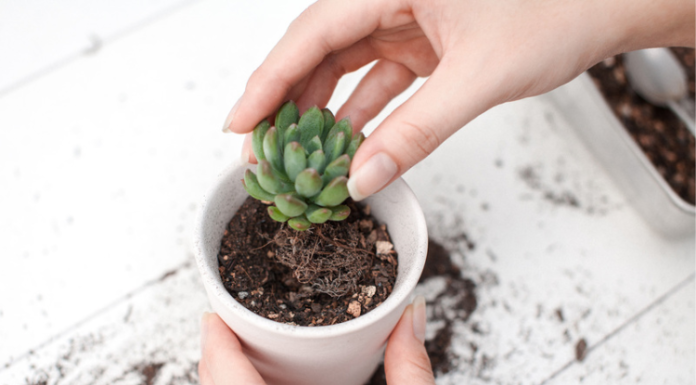 {“is_finished”:false,”event_type”:”stream-start”,”generation_id”:”8b79acde-961b-49b1-8b47-0caba290e4bd”}