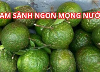 Choose the juiciest and most delicious honey tangerines with these expert tips!