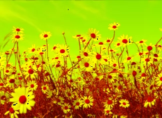 Stunning Sky Captions for Posting Aesthetic Photos on Social Media!