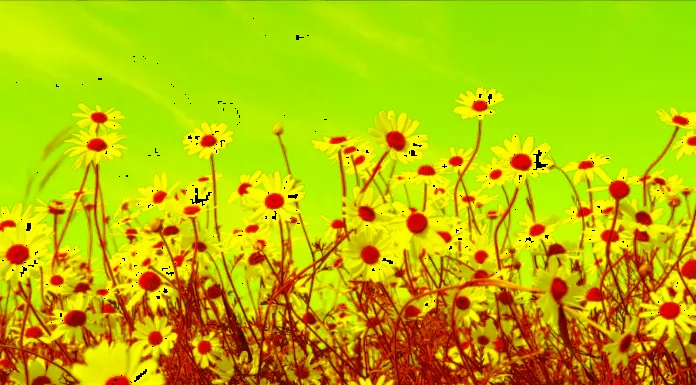 Stunning Sky Captions for Posting Aesthetic Photos on Social Media!