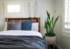 9 Feng Shui Plants to Enhance Sleep and Attract Abundance