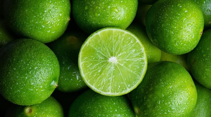 The Truth About Cutting Lemons: Should It Be Vertically or Horizontally? Many People Are Astonished at How They’ve Been Doing It Wrong All This Time