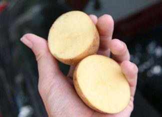 No more sticky pans: Use these 4 simple tricks to fry, cook without worrying about sticking or splattering oil