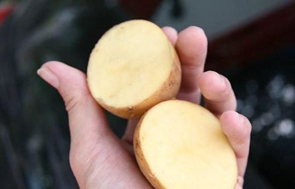 No more sticky pans: Use these 4 simple tricks to fry, cook without worrying about sticking or splattering oil