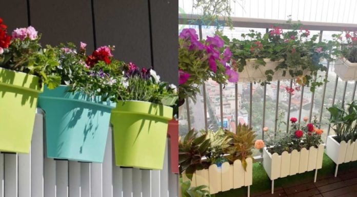 Transform Your Small and Cozy Balcony into a Colorful and Diverse Garden Oasis with These Simple Tips