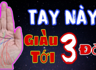 Only need this palm line, both men and women can be wealthy, powerful and prosperous