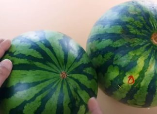 Buy Watermelons with this Trick: No Need to Tap or Squeeze, Just Look Here