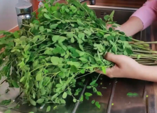 A Veggie That Resembles Nettle, a Plant-Based Yen Yen, 4 Times More Calcium Than Milk, Prevents Various Diseases