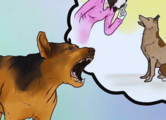 Why Do Dogs Bark and Bite Selectively?