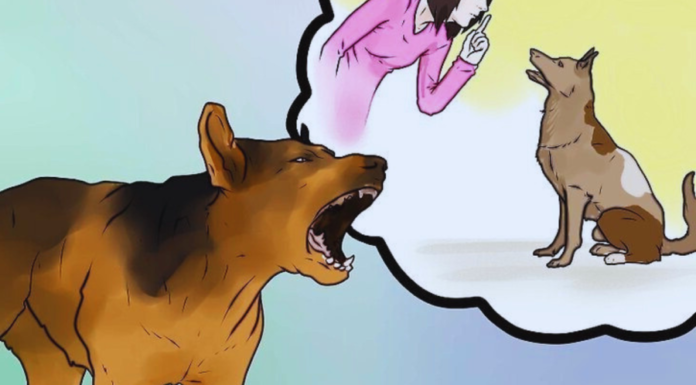 Why Do Dogs Bark and Bite Selectively?