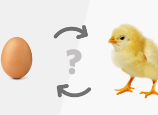Which came first, the chicken or the egg: 90% don’t know the correct answer
