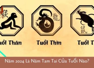 The Ironic Tale of Fate: A Buffalo’s Plight and the Elusive Wealth.