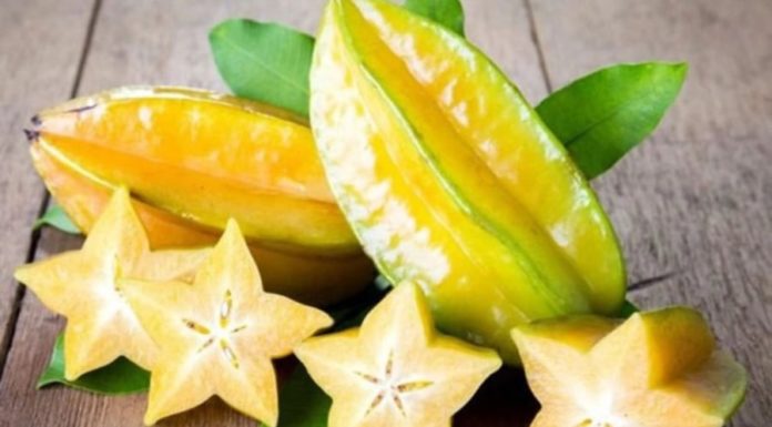 The surprising benefits of apricots for the whole family that many people don’t know.