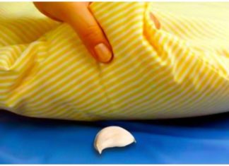 Why You Should Put a Clove of Garlic under Your Pillow When Sleeping: Amazing Benefits Everyone Should Know