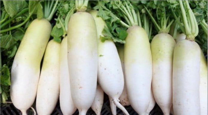 Don’t obsess over buying big carrots: 5 smart tips from experienced growers