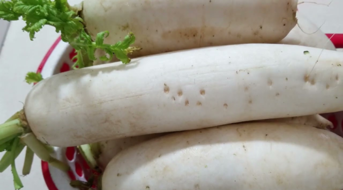 Who should avoid eating white radishes?