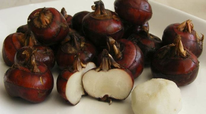 Sweet and refreshing root vegetable is a ‘miracle’ that helps lower blood sugar, stabilize blood pressure: A wonderful gift from the Vietnamese market.