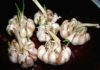4 Signs to Avoid Buying Garlic at the Market