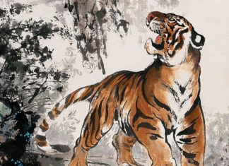 Lucky Life Transformation on March 12th: 4-year-old Blessed by Buddha, Counting Money Tirelessly