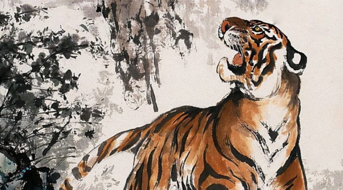 Lucky Life Transformation on March 12th: 4-year-old Blessed by Buddha, Counting Money Tirelessly