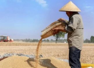 The saying “Men in August, women in December”, what does it mean? How are the fortunes of these people?