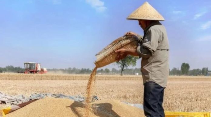 The saying “Men in August, women in December”, what does it mean? How are the fortunes of these people?