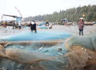 1/5 the Price of Omega-3 Rich Salmon, Safe from Mercury: Stock up on Tasty Trout Now, Don’t Miss Out