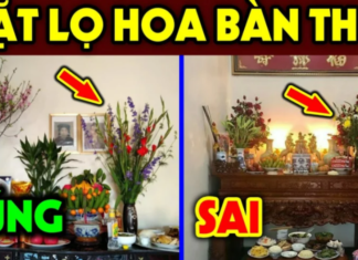 Choose 5 or 7 fresh flowers for auspicious purposes: Sounds simple but 9 out of 10 homes get it wrong