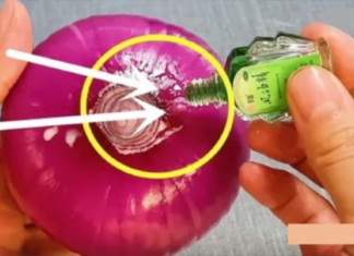 Small Oil Heals Red Onion: Little Tips Solve Big Problems and Save Big Money Every Year