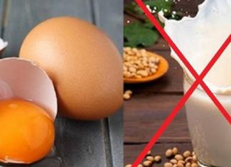 Foods to Avoid Combining Together for Better Health