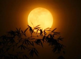 What is the personality of someone born on the first day of the full moon?