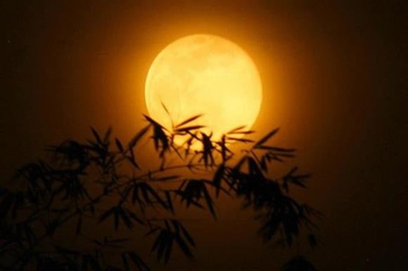 What is the personality of someone born on the first day of the full moon?