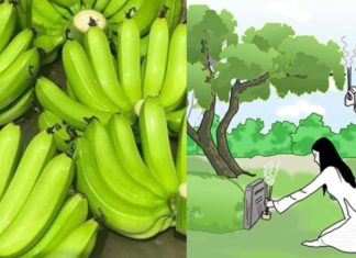 Why should you bring bananas when going to pay respects at the tomb? What is the significance of bananas in spiritual worship?