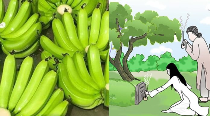 Why should you bring bananas when going to pay respects at the tomb? What is the significance of bananas in spiritual worship?